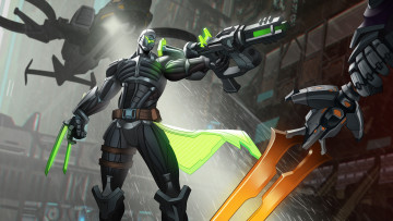 Картинка видео+игры paladins