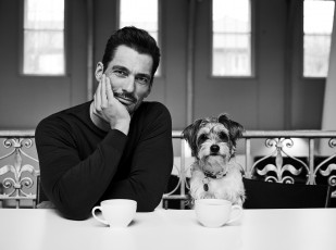 Картинка мужчины david+gandy чашки собака