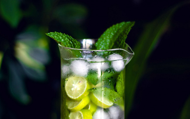 Обои картинки фото еда, напитки,  коктейль, мята, коктейль, лимон