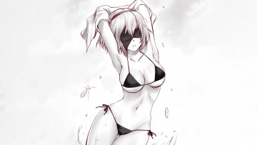 Картинка видео+игры nier +automata automata