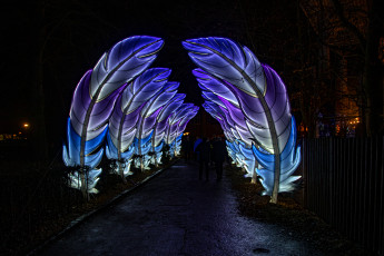 обоя разное, иллюминация, перья