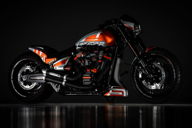 Обои картинки фото harley, мотоциклы, harley-davidson, мотоцикл, байк