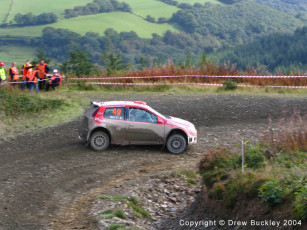 Картинка fiat punto rally автомобили