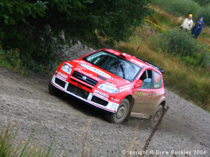 Картинка fiat punto rally автомобили