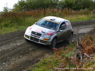 Картинка fiat punto rally автомобили