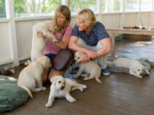 Картинка marley me кино фильмы