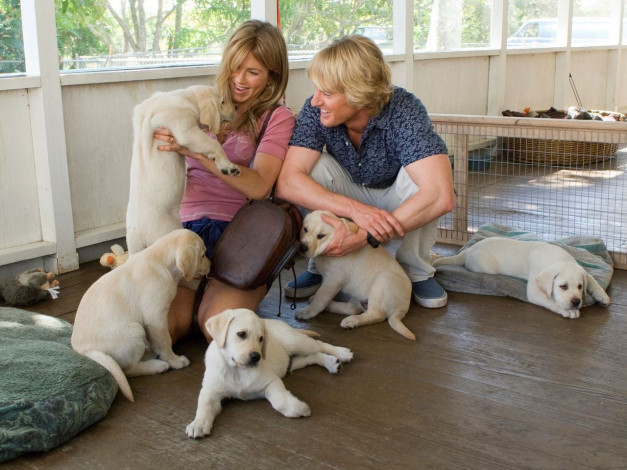 Обои картинки фото marley, me, кино, фильмы