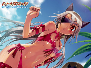 Картинка queen`s blade аниме