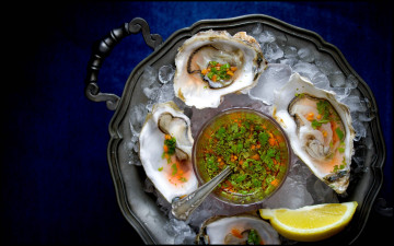 Картинка еда рыбные блюда морепродуктами соус устрицы лед
