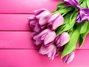 обоя цветы, тюльпаны, бутоны, лента, бант