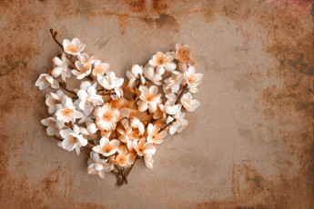 Картинка разное ремесла +поделки +рукоделие сердце ветки цветы весна бумага винтаж