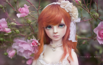 Картинка разное игрушки розы кукла