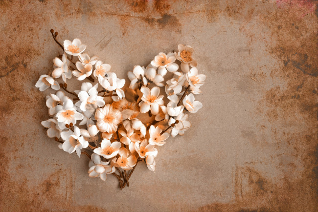 Обои картинки фото разное, ремесла,  поделки,  рукоделие, сердце, ветки, цветы, весна, бумага, винтаж