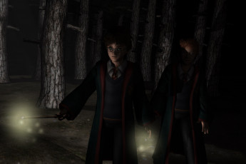 Картинка 3д+графика фантазия+ fantasy девушка мальчик гари потер лес