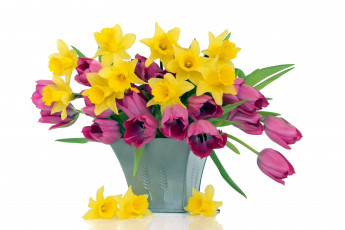 Картинка цветы разные+вместе тюльпаны нарциссы