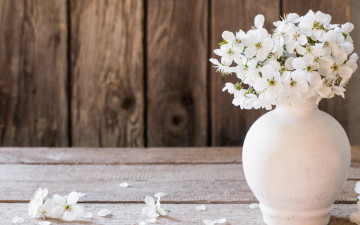 Картинка цветы цветущие+деревья+ +кустарники лепестки доски весна