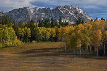 Картинка природа пейзажи горы лес