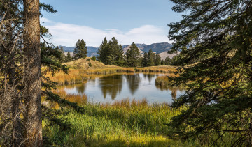 Картинка природа реки озера лес река