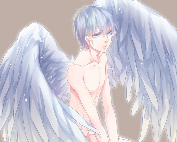 Обои картинки фото аниме, kuroko no baske, баскетбол, куроко, парень, арт, ангел