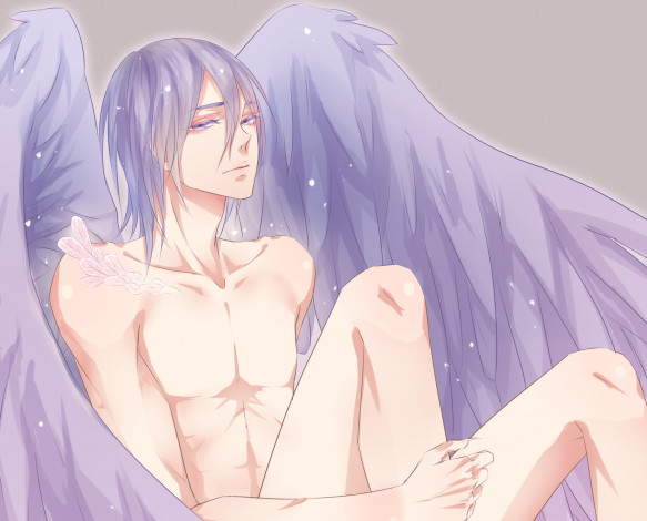 Обои картинки фото аниме, kuroko no baske, баскетбол, куроко, парень, арт, ангел