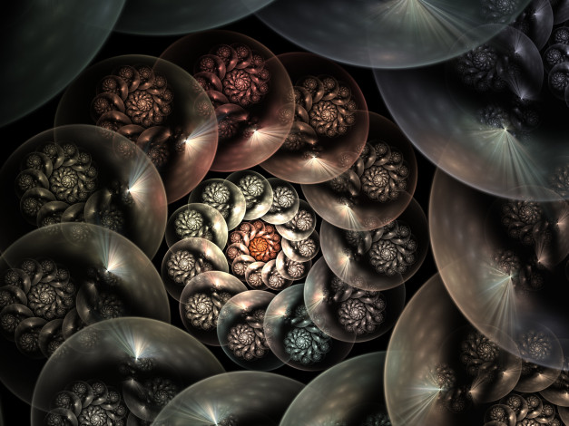 Обои картинки фото 3д графика, фракталы , fractal, цвета, узор, фон
