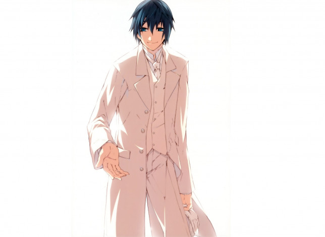 Обои картинки фото аниме, dies irae, парень