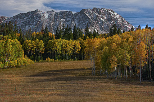 Обои картинки фото природа, пейзажи, горы, лес