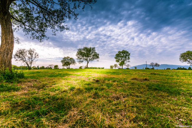 Обои картинки фото природа, пейзажи, облака, лужайка