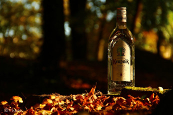 Картинка бренды бренды+напитков+ разное водка