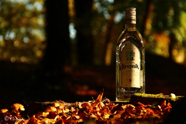 Обои картинки фото бренды, бренды напитков , разное, водка