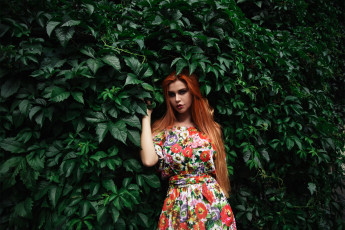 Картинка девушка девушки dana+bounty модель