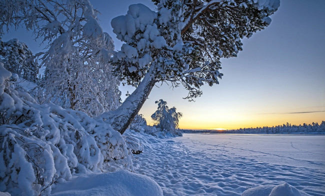 Обои картинки фото природа, зима, снег, сугробы