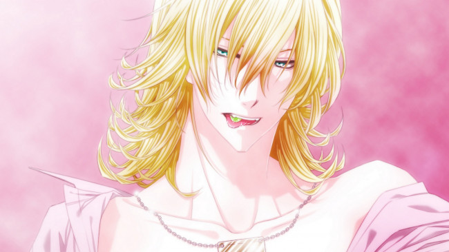 Обои картинки фото аниме, tiger and bunny, тигр, и, кролик