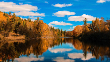 Картинка magnetawan+river ontario природа реки озера magnetawan river