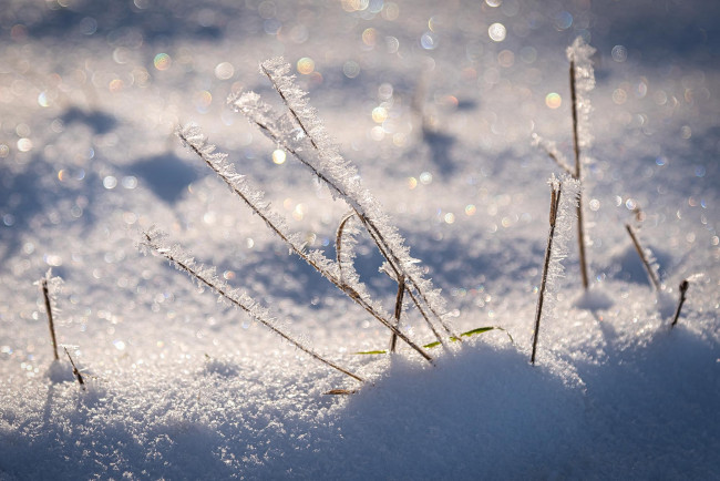 Обои картинки фото природа, зима