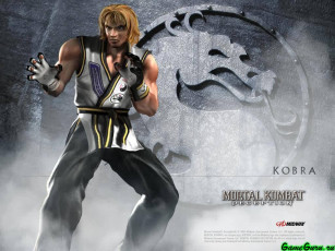 Картинка mortal kombat deception видео игры