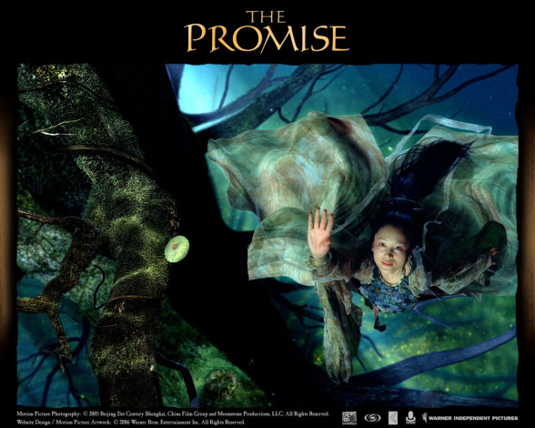 Обои картинки фото кино, фильмы, the, promise