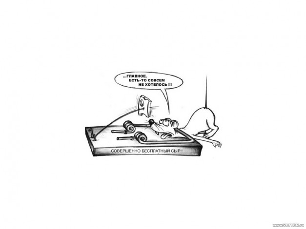 Обои картинки фото мышеловка, юмор, приколы