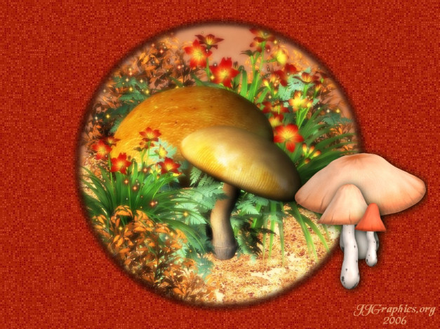 Обои картинки фото разное