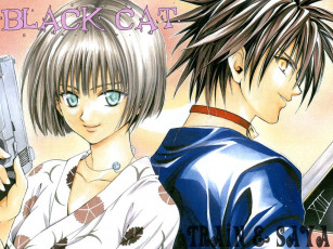 Картинка аниме black cat