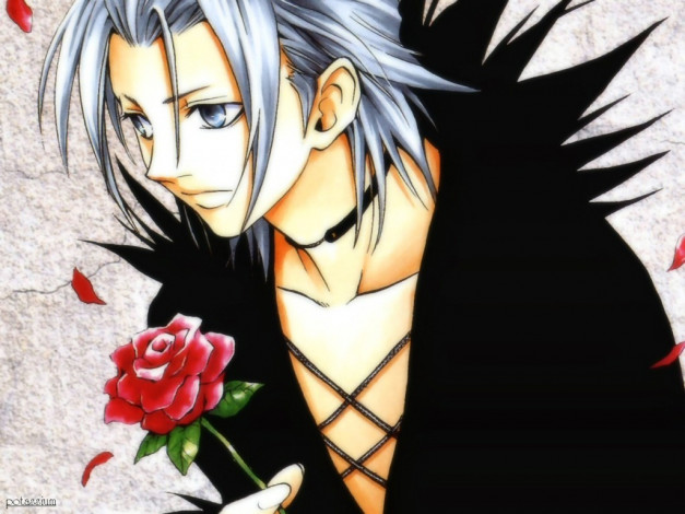 Обои картинки фото аниме, black, cat