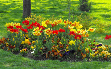 обоя цветы, разные, вместе