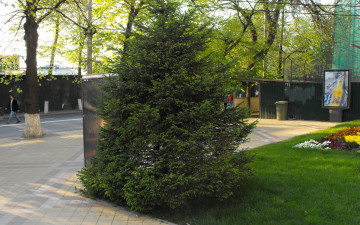 Картинка природа