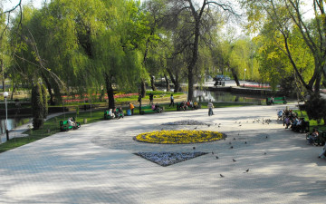 Картинка природа