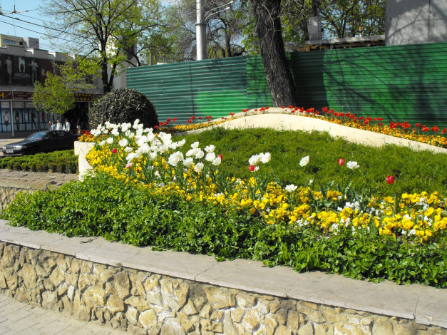 Обои картинки фото цветы, разные, вместе