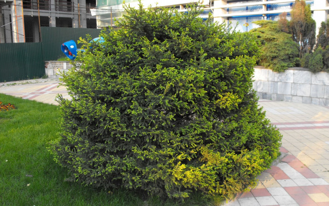 Обои картинки фото природа