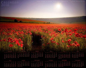 Картинка календари цветы