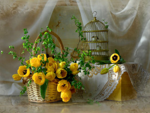 Картинка авт мария елизавета цветы тюльпаны