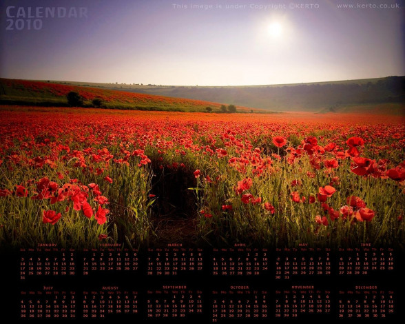 Обои картинки фото календари, цветы