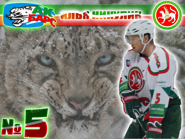 Обои картинки фото спорт, хоккей